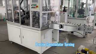 টার্নিং সলিউশন